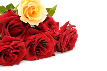 Similar image 1569270