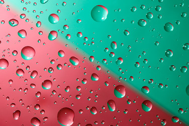 Similar image 1569271