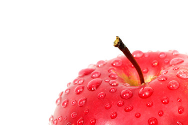 Similar image 1569274