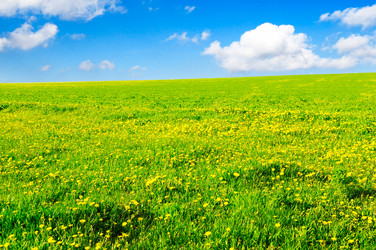 Similar image 1569278