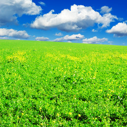 Similar image 1569295