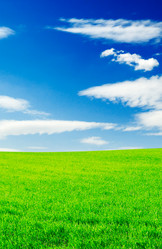 Similar image 1569297