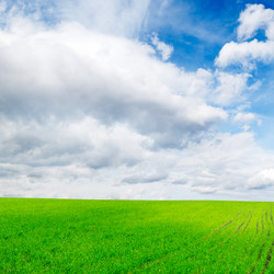 Similar image 1569300