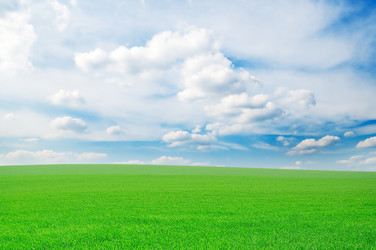 Similar image 1569304