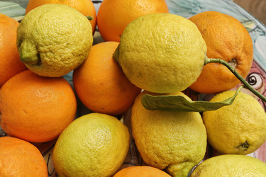 Similar image 1569323