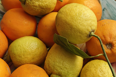 Similar image 1569324