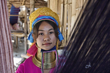 Similar image 1569375