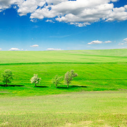 Similar image 1569377