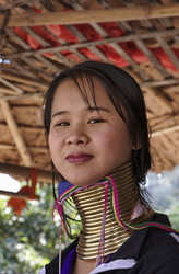 Similar image 1569411