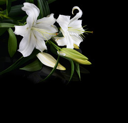 Similar image 1569503