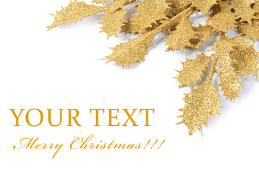 Similar image 1569507