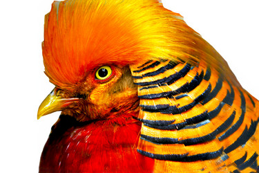 Similar image 1569514