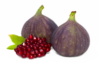 Similar image 1569515