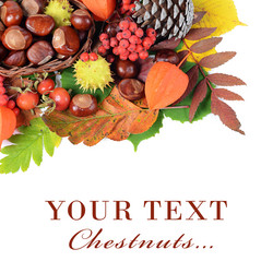 Similar image 1569516