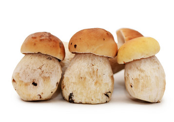 Similar image 1569521