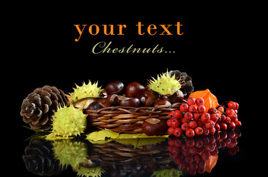 Similar image 1569539