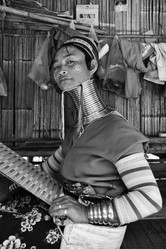 Similar image 1569573