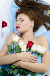 Similar image 1569586