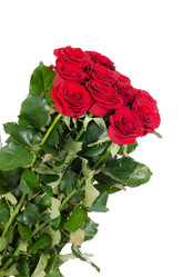 Similar image 1569591