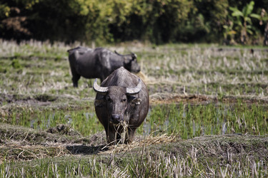 Similar image 1569816