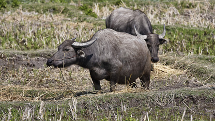 Similar image 1569820