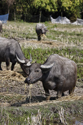 Similar image 1569826