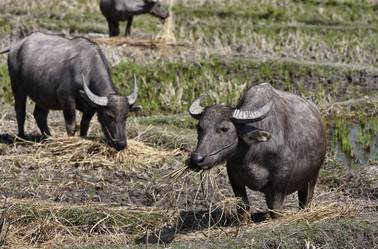 Similar image 1569835