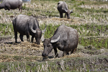 Similar image 1569837