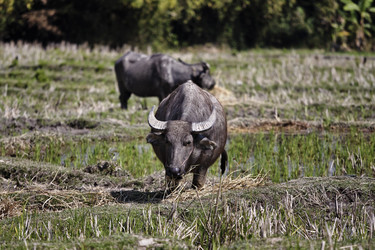 Similar image 1569842