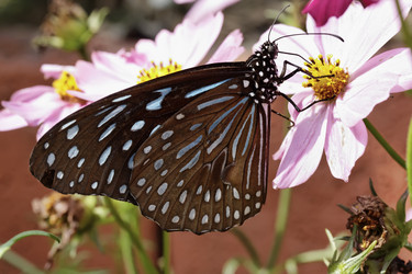 Similar image 1569866