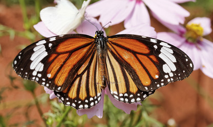 Similar image 1569871