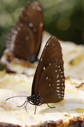 Similar image 1569874