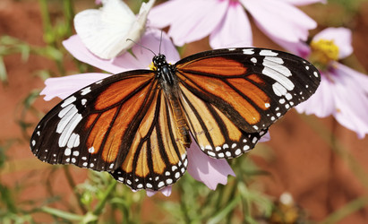 Similar image 1569883