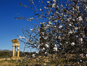 Similar image 1569945