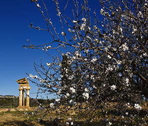 Similar image 1569947