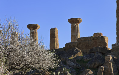 Similar image 1569988