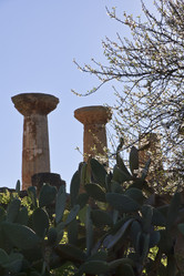 Similar image 1569992