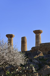 Similar image 1569997