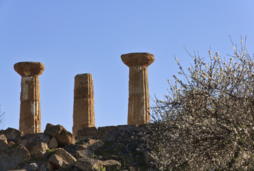 Similar image 1569999