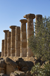 Similar image 1570003