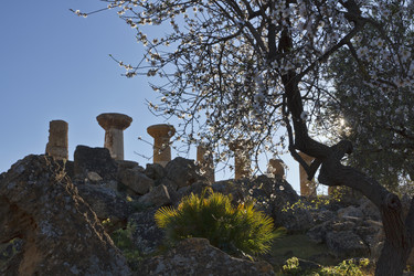 Similar image 1570083