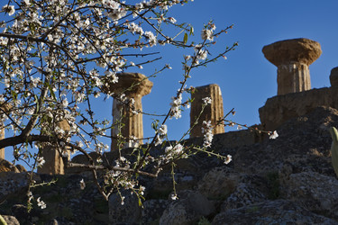 Similar image 1570091