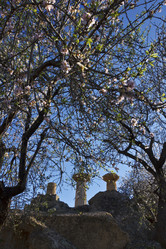 Similar image 1570093