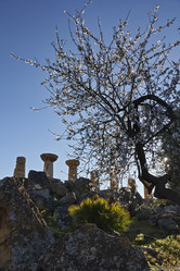 Similar image 1570106