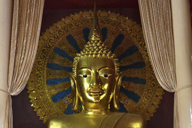 Similar image 1570116