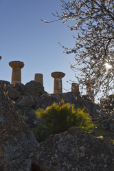 Similar image 1570137