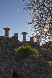 Similar image 1570139