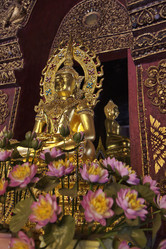 Similar image 1570181