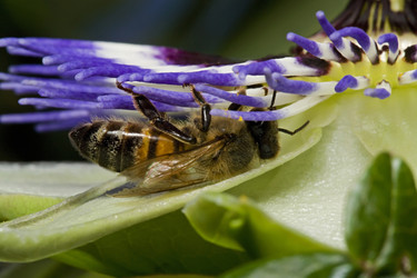 Similar image 1570202