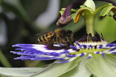 Similar image 1570203